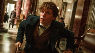 The search is underway for an actor to play young Dumbledore